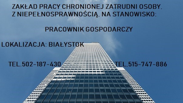 Sprzątacz/Sprzątaczka 